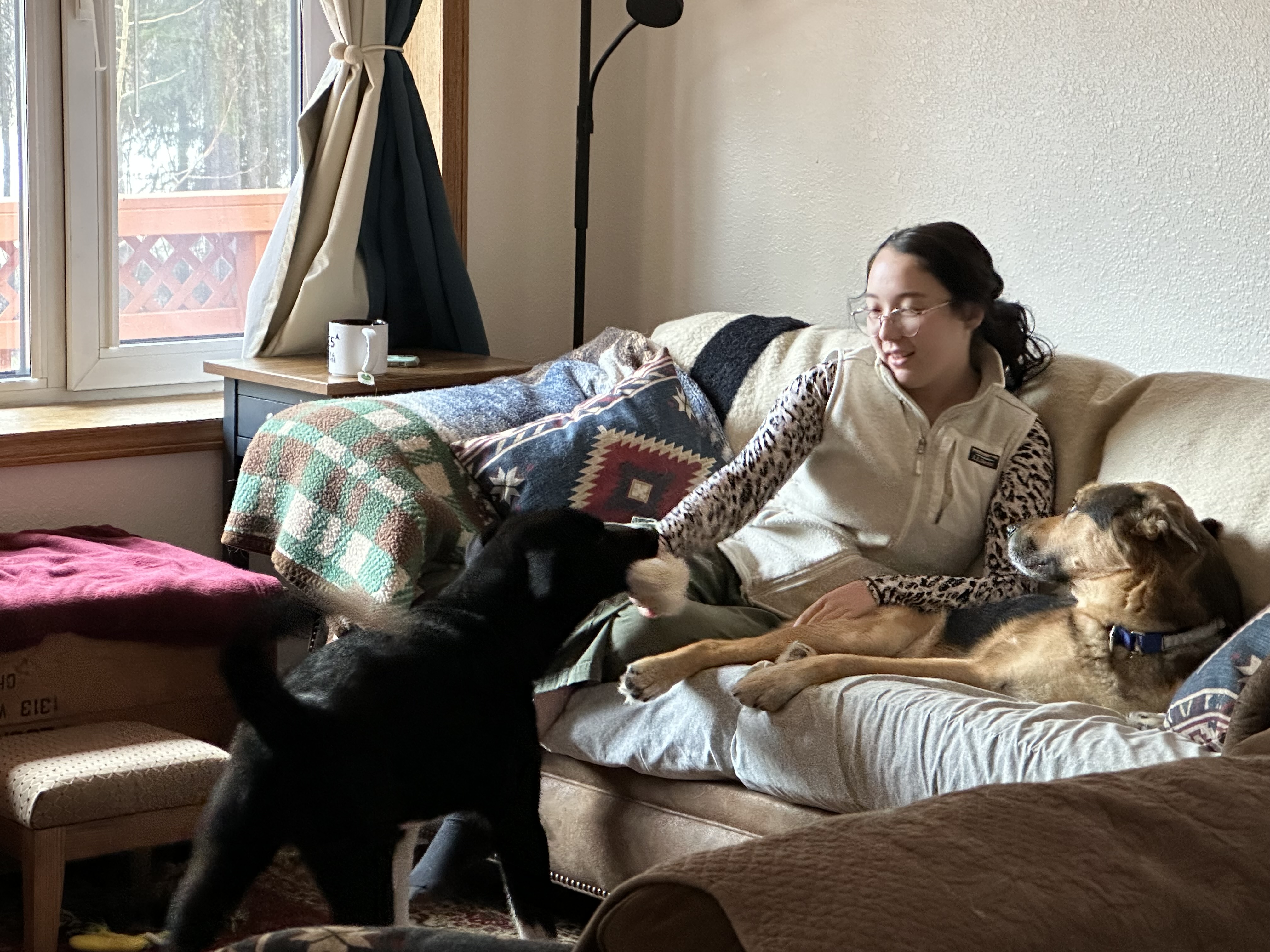 Olivia Curtis with dogs in Braintree MA