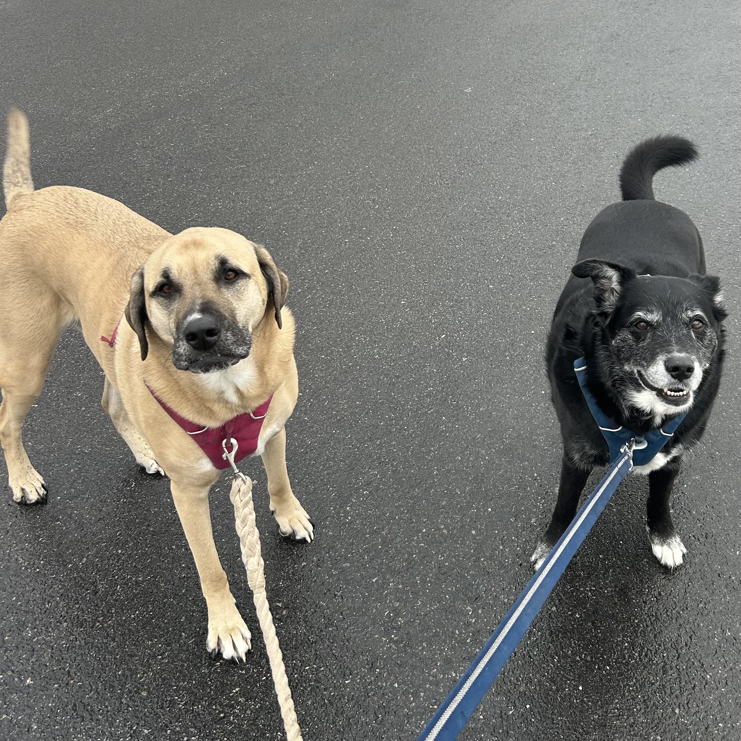 Winnie and Chuck